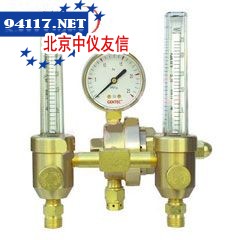 196系列双流量计式减压器