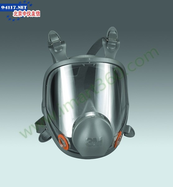 XC0038001713M6800全面型防护面具(中号)