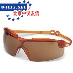 9191048安全防护眼镜