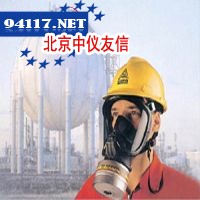F1000004全面罩过滤式防毒面具