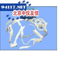 FCLB0134双背安全带