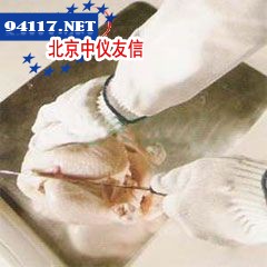 Pro1抗割手套