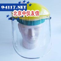 TP309防化面屏