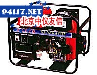 TSD3300柴油发电机