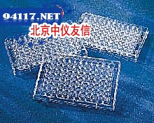 384孔透明微孔板