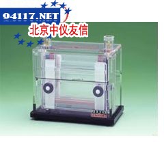 AE6451垂直电泳槽