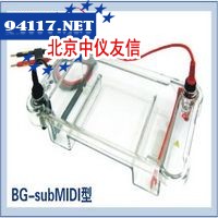 BG-subMIDI百晶多用途水平电泳仪BG-subMIDI