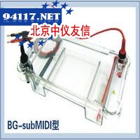 BG-subMIDI百晶多用途水平电泳仪BG-subMIDI