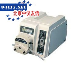 BT300-2J蠕动泵