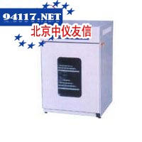 DPX100电热恒温培养箱
