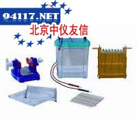 DYCZ-26B一体式双向电泳仪