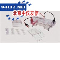 DY-31D江苏兴化多功能水平电泳槽（模具成型）