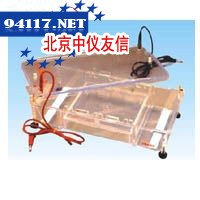 HE99XMax标准型水平电泳仪