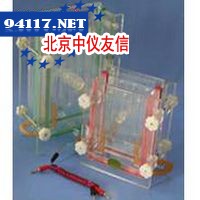 JY-JX2型夹芯电泳槽
