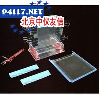 JY-SCZ6型垂直电泳槽
