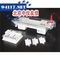 JY-SPA/JY-SPAT型水平电泳槽