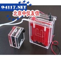 JY-ZY1转移电泳槽