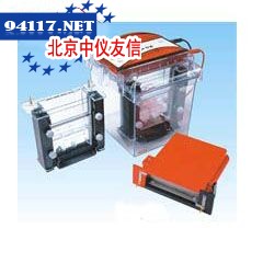SE300miniVE迷你垂直电泳仪