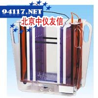 SE900垂直电泳仪