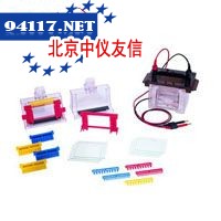 VE180微型垂直电泳槽
