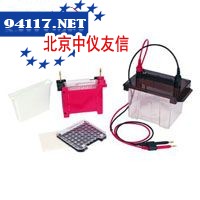 VE186转移电泳槽