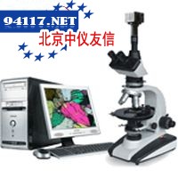 59XC-SC130偏光摄像显微镜