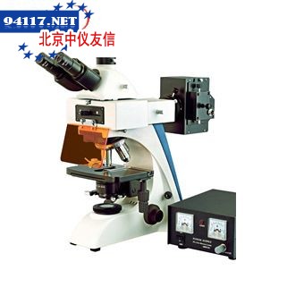 BSF-30系列荧光显微镜