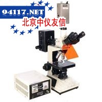 BSF-50系列荧光显微镜