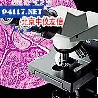 CX31教学级生物显微镜