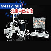 DMI6000B全自动倒置生物显微镜