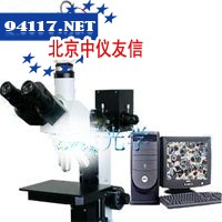 DVM-700C电脑型三目视频显微镜