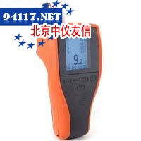 DS300露点显示仪