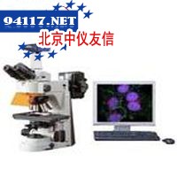FL2荧光装置
