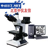 MLT-33系列透反射金相显微镜