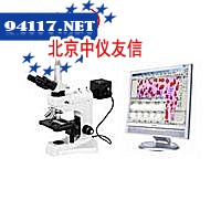 QuangLab-ST显微图象分析系统