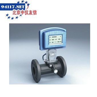 TDS智能旋进流量计