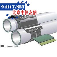 GTS-PP全球传输套管