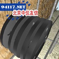 PSI的细胞铸磁盘