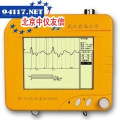 RS-1616K(S)基桩动测仪
