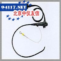 电子胃镜GVE-2100