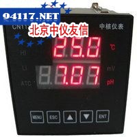 CN113型PH/ORP测定仪