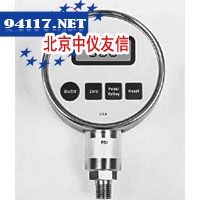 DPG100-1数字压力计