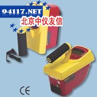 451B-DE-SI-RYR型电离室巡测仪