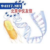 HCC-9904生化分析仪