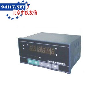 TE-XM16PB智能多路巡检控制仪
