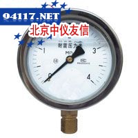 YTN系列耐震压力表