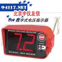 DVI带有电压指示的验电器