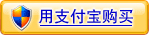 网上支付