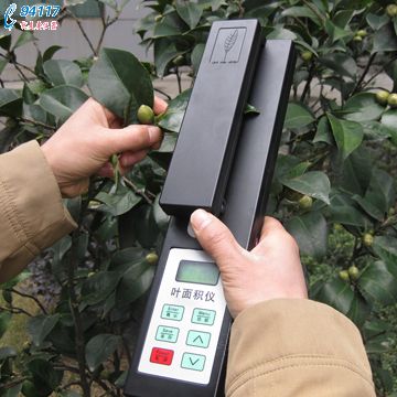 �й� ����Ҷ����ⶨ��YMJ-B