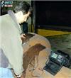 超声波探伤仪ECHOGRAPH1016B